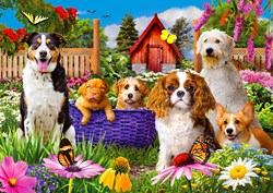 Enjoy Puzzle jigsaw Puppy Patch - 1000 pieces dog puzzle garden