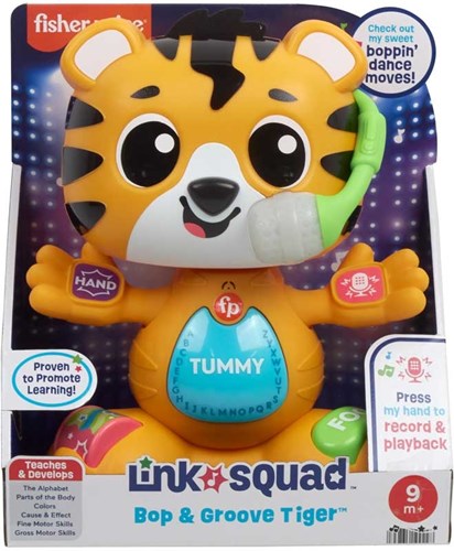 Mattel toy Fisher-Price interactive learning tiger educational