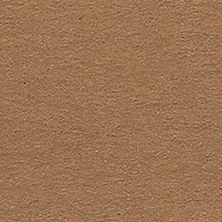Folia craft cardboard photo paper deer brown 10 sheets 50x70 cm 300g
