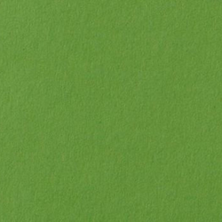 Folia green craft cardboard - 10 sheets 300gsm 50x70 cm art paper