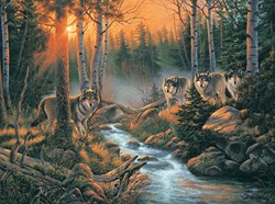 SunsOut puzzle Forest Shadows - 1000 pieces jigsaw puzzle