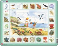 Larsen puzzle - sea theme - Italian - 48 cardboard pieces