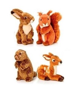 Forest Animals