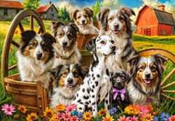 Castorland puzzle dogs landscape 1000 pieces for adults