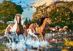 Castorland puzzle Horse Wonderland - 1000 pieces - horse jigsaw