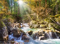 Castorland puzzle landscape Der Waldbach - 2000 pieces