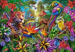 Castorland puzzle Jungle Fashion - 500 pieces jigsaw