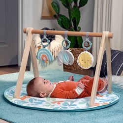 Ingenuity wooden baby gym Sun Valley play mat with play arch multicolor