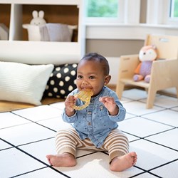 Ingenuity baby teether Cool Bite Water Teether Bomby multicolor BPA-free