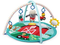 Baby Einstein play mat Happy Harvest Touch & Feel Activity Gym