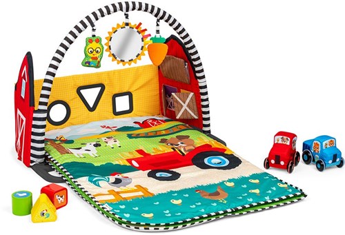 Baby Einstein farm play mat activity gym for babies and toddlers