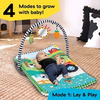 Baby Einstein farm play mat activity gym for babies and toddlers-3