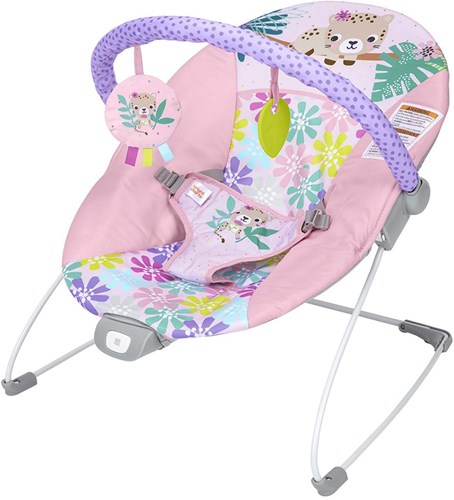 Bright Starts baby bouncer Wildflower Wonders with vibration