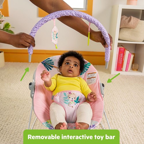 Bright Starts baby bouncer Wildflower Wonders with vibration-3