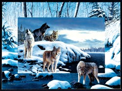 SunsOut puzzle animals Kevin Daniel - Ice Wolves - 1000 pieces