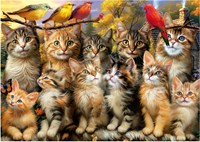 Educa jigsaw puzzle cats and birds 500 pieces animal puzzle