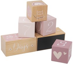 Label Label wooden milestone blocks pink - milestone blocks baby