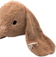 Label Label wall decoration bunny Rabbit Rosa nougat plush 3D-2