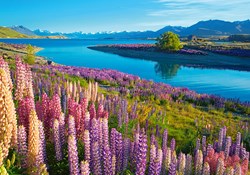 Castorland puzzle Lake Tekapo jigsaw 500 pieces New Zealand