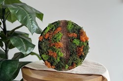 Little Creations DIY moss painting reindeer moss orange creative kit