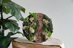Little Creations DIY moss painting reindeer moss white decoration set