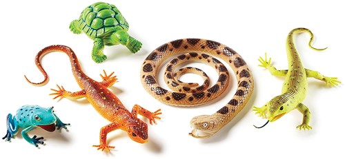Learning Resources toys - Jumbo reptiles and amphibians set