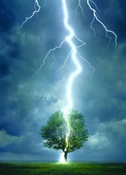 Eurographics Lightning Tree (1000)