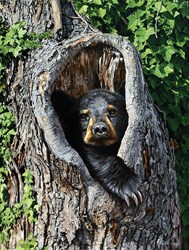 SunsOut puzzle Cubby Hole - 500 piece jigsaw puzzle for adults