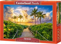 Castorland puzzle Miami USA - landscape jigsaw 3000 pieces-2