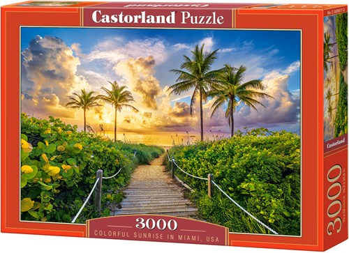 Castorland puzzle Miami USA - landscape jigsaw 3000 pieces-2