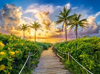 Castorland puzzle Miami USA - landscape jigsaw 3000 pieces