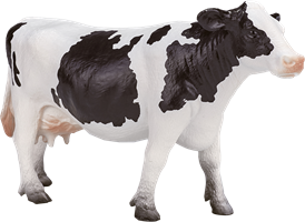 Toy Farm Animals