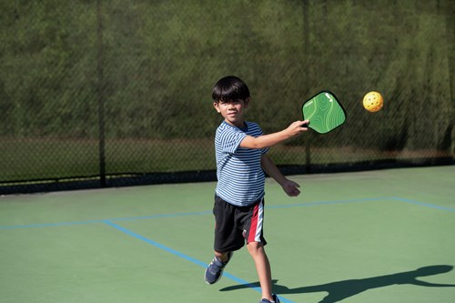 DoUPlay Pickleball Starter Set - Outdoor Sports Toy for Active Fun-3