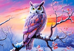 Castorland puzzle owl jigsaw - 500 pieces colorful toy
