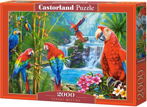 Castorland puzzle Parrot Meeting - 2000 pieces jigsaw-2