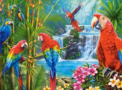 Castorland puzzle Parrot Meeting - 2000 pieces jigsaw