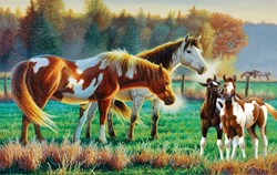 SunsOut puzzle Pasture Family - 550 piece cardboard jigsaw