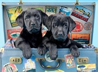 Anatolian puzzle Travel Labs - 500 pieces jigsaw puzzle