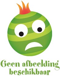 Ansichtkaart 3,99