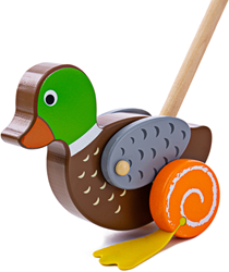 Bigjigs Push Along (Duck) (4)