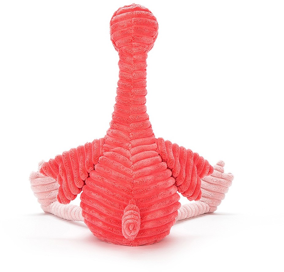 cordy roy flamingo