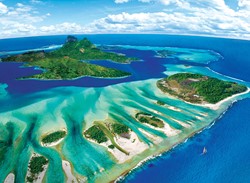 Eurographics Save the Planet! Coral Reef (1000)