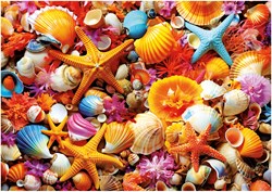 Educa jigsaw puzzle Shell Collage 1000 pieces - puzzle adults