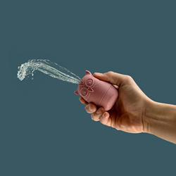 Bigjigs Toys Bath Animals