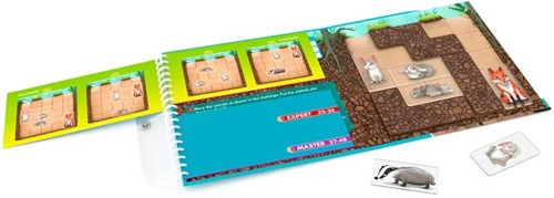 Smart Games Down the Rabbit Hole (48 tasks)-2