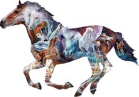 SunsOut puzzle The Mystery of the Horse - 800 pieces animals