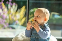 TickiT teether rattle silicone earth colours baby toy-2