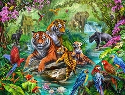 SunsOut puzzle Tiger Jungle - 500 pieces jigsaw puzzle