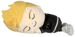Takemichi Hanagaki anime plush toy - Tokyo Revengers soft toy