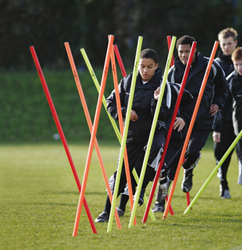 Precision training poles set - 12 pieces - 1.7m - sports accessory
